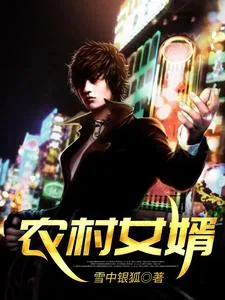《农村女婿》小说封面