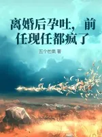 《离婚后孕吐，前任现任都疯了》小说封面