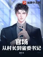 《官场：从村长到省委书记》小说封面