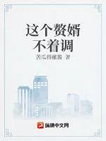 《这个赘婿不着调》小说封面