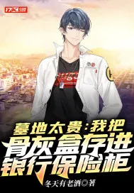 《墓地太贵:我把骨灰盒存进银行保险柜》小说封面