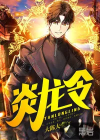 《炎龙令》小说封面