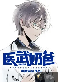 《医武奶爸》小说封面