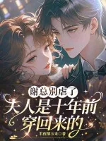 《谢总别虐了,夫人是十年前穿回来的》小说封面