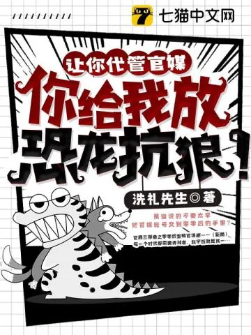《官场：从整顿职场到权路巅峰》小说封面