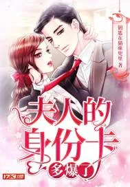 《夫人的身份卡多爆了》小说封面