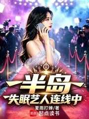 《半岛：失眠艺人连线中》封面