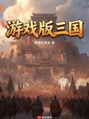 《游戏版三国》封面
