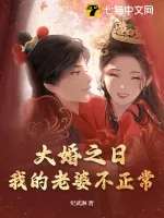 《大婚之日,我的老婆不正常》小说封面