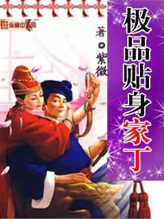 《极品贴身家丁》封面