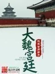 《大魏天子赵元偲》封面