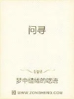《问寻》小说封面