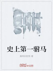 《史上第一驸马》小说封面