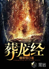《葬龙经》小说封面
