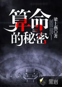 《算命的秘密》小说封面