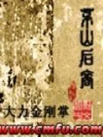 《茅山后裔》小说封面