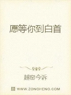 《愿等你到白首》小说封面