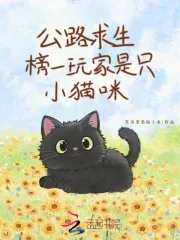 《公路求生，榜一玩家是只小猫咪》封面