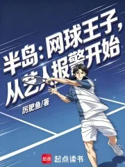 《半岛：网球王子，从艺人报警开始》小说封面