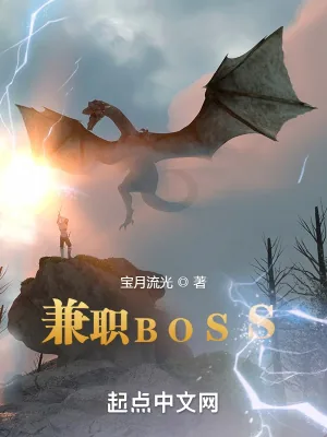 《兼职BOSS》封面