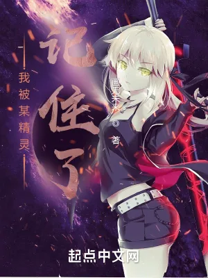 《我被某精灵记住了》小说封面