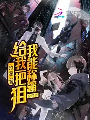 《给我一把狙我能称霸全世界》小说封面