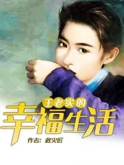 《王老实的幸福生活》封面
