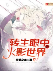 《转生眼中的火影世界》封面