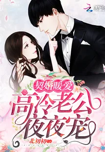 《契婚暖爱:高冷老公,夜夜宠!》小说封面