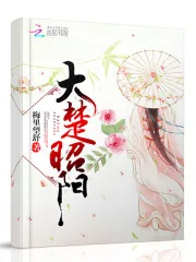 《大楚昭阳》小说封面