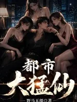 《都市大猛仙》小说封面