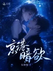 《京港暗欲》小说封面