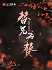 《替兄为赘》小说封面