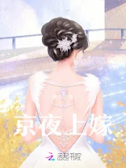 《京夜上嫁》小说封面
