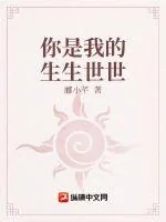 《你是我的生生世世》小说封面