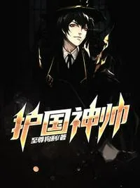 《护国神帅》小说封面