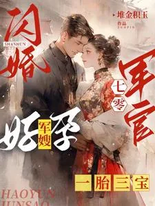 《闪婚七零军官，好孕军嫂一胎三宝》封面