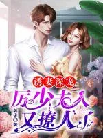 《诱妻深宠,厉少夫人又撩人了》小说封面