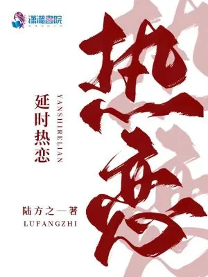 《延时热恋》小说封面