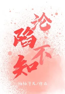 《沦陷不知》小说封面