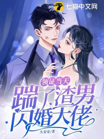 《领证当天踹了渣男闪婚大佬》小说封面