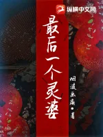 《最后一个灵婆》小说封面