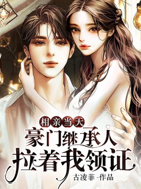 《相亲当天,豪门继承人拉着我领证》封面