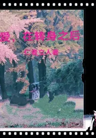 《爱,在转身之后》小说封面