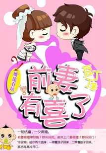 《前妻有喜了》封面
