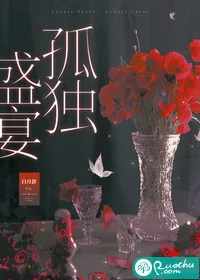 《孤独盛宴》小说封面