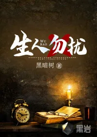 《生人勿扰》小说封面