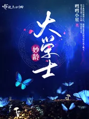 《妙龄大学士》小说封面