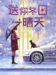《送你冬日一晴天》小说封面