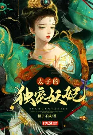 《太子的独宠妖妃》小说封面